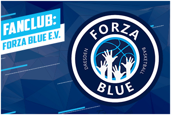 box_forza_blue_footer_neu
